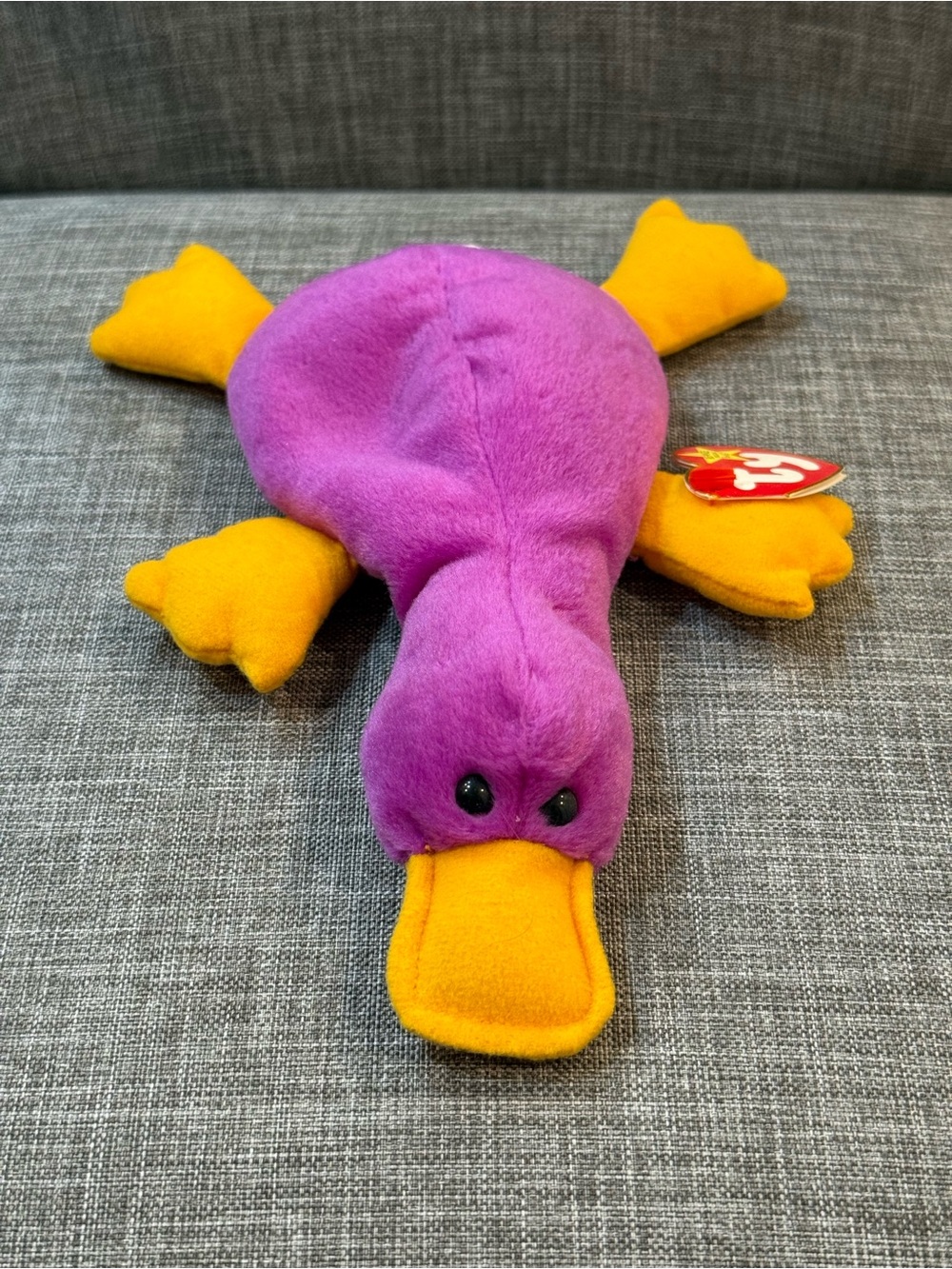 Patti the Platypus Ty Beanie Baby NWT